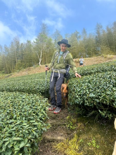 月眉山、海鼠山、生毛樹山、野薑花步道、進學古道3020759
