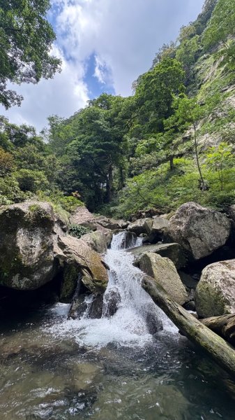 戲水（鴛鴦2786729