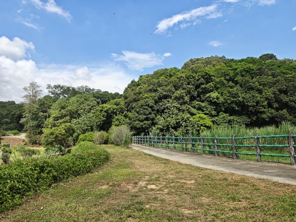 [皮皮獅動物派對-01/10] 2026_0815 寶山迴龍步道、環湖步道3112355