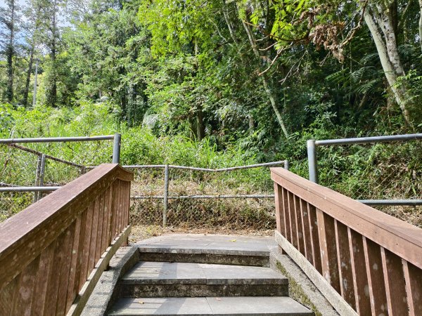 [百山百鳥尋旅-06/15] 2025_0830 貓囒山步道2875713