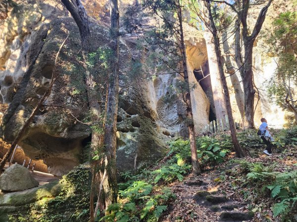 20251123秘境車站峠駅與垂水遺跡2957768