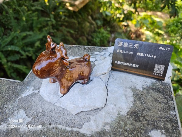 20260119飛沙縱走東段加碼9連峰大O走2988915