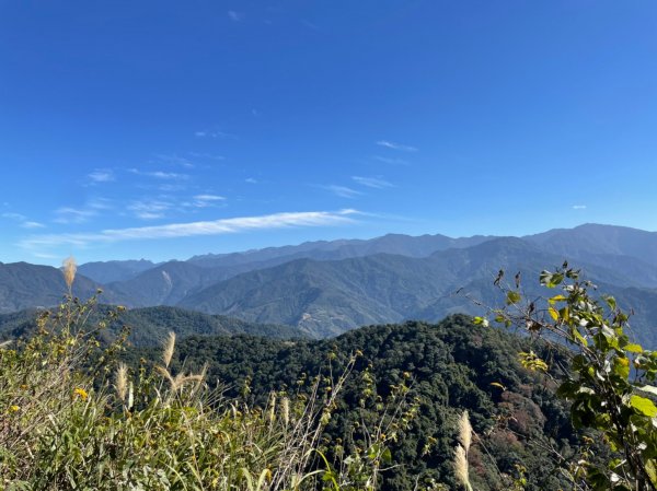 馬那邦山賞楓趣1549576