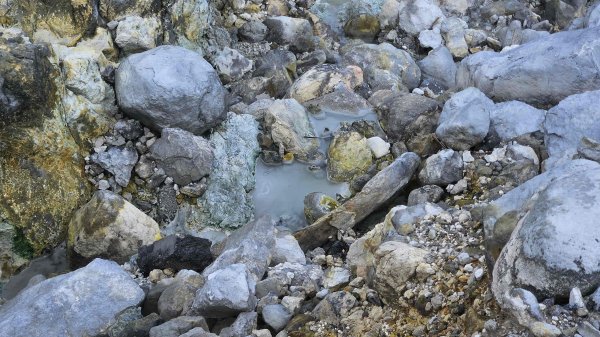 20251007冷水山西峰-三重橋山-挑硫古道-大油坑山前峰-大油坑山2907657