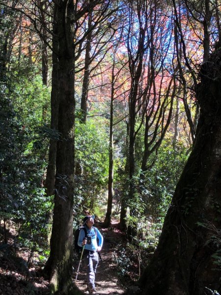 稍來山、船型山O走1970145