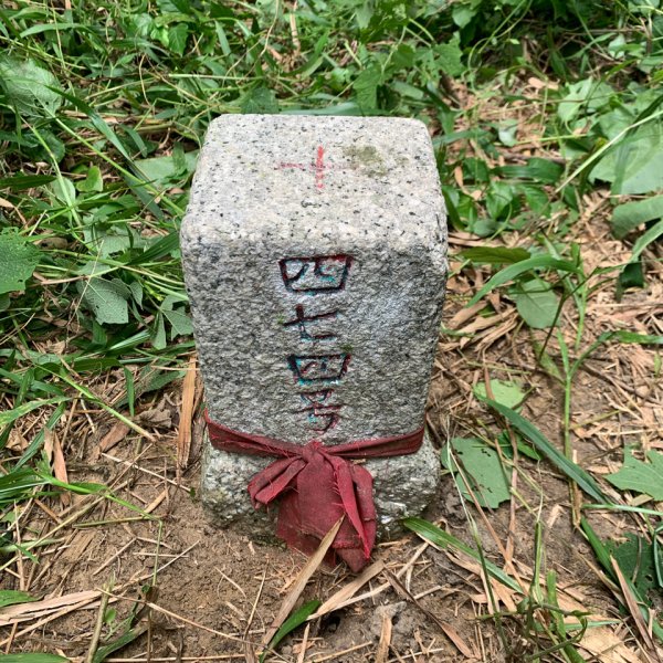 20251024台南光峰山2925642