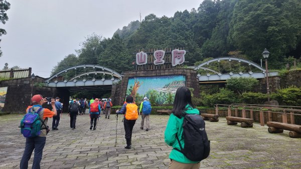 2023-0910 阿里山塔山步道2284427