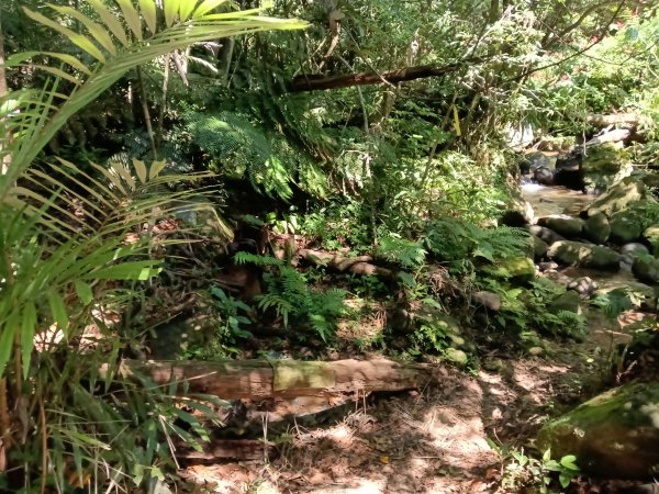 汐止區小溪瀑布+車坪寮土地公稜線2890140