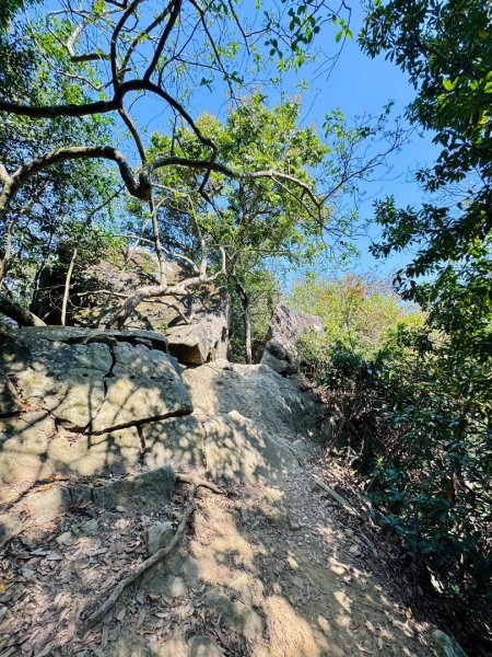 旗尾山(小百岳#)722765433