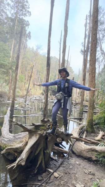 留龍頭-嶺頭山-金柑樹山-忘憂森林（2025必去）2720355