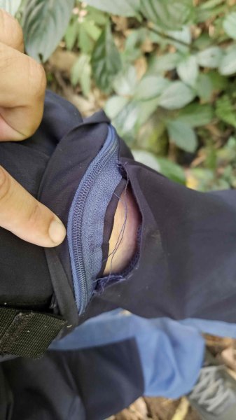 20250808內柑宅古道-紅葉谷瀑布2857234