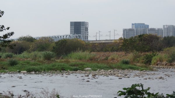 《台中》冬日暖陽｜筏子溪門戶迎賓水岸廊道健行賞鳥202601182983609