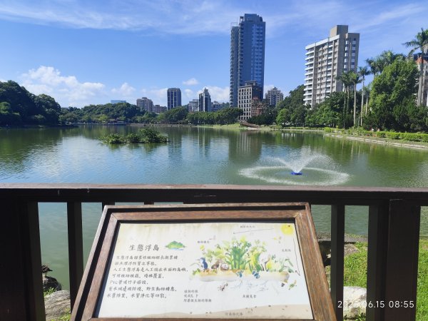 內湖碧湖公園步道、郭子儀紀念堂、獅頭山、大港墘公園、宏匯瑞光廣場2813429