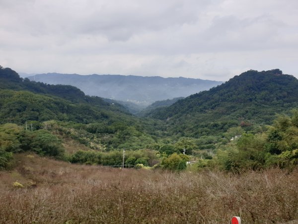 20221127出關古道龍船山出礦坑O型1972767