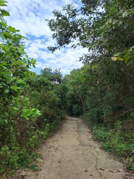 南化鈺鼎步道上糖子恩山+北峰202503152736888