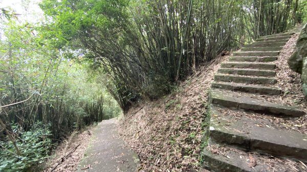 2024觀音觀鷹全7線| Mt. Guanyin |皇蛾|峯花雪月2504734