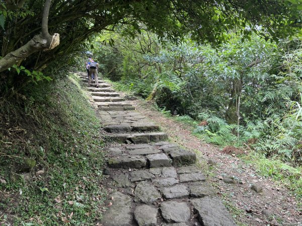 [走遍陽明山]2023_0723 冷擎步道2317513