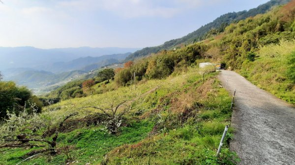 《苗栗》馬那邦山｜ 上湖線＞天然湖O巡202102201277473