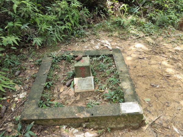 石光古道2848864