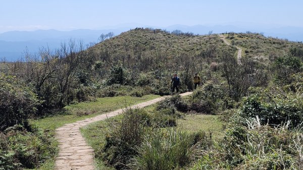 風櫃口頂山石梯嶺擎天崗2056594