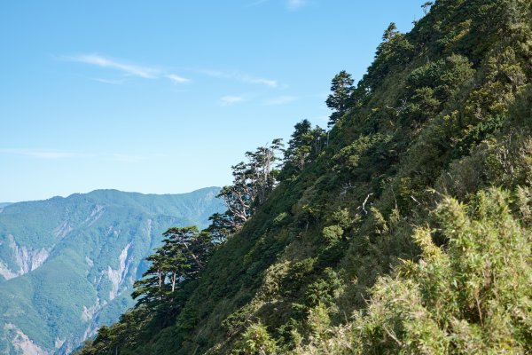 南橫三星兩日包車2882861