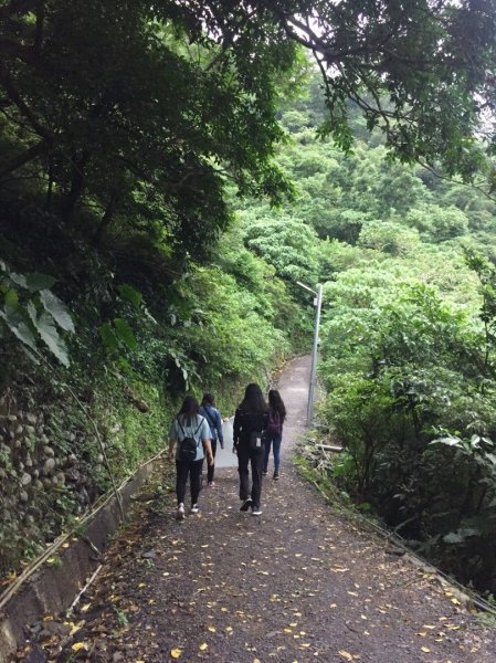 礁溪跑馬古道淨山一日遊422544