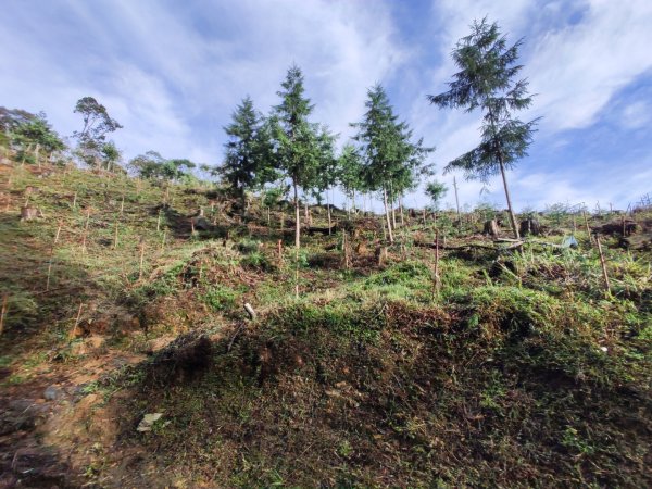 2025/7/12、7/13 西巒大山2839170