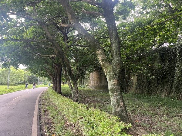 [2025臺北健走趣-01/49] 2025_0617_景美河濱公園2814566