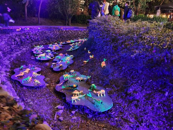 【鹽水-2020月津港燈節】來企賞水燈822502