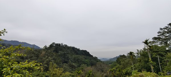 2025/02/08_苦苓腳古道2709253