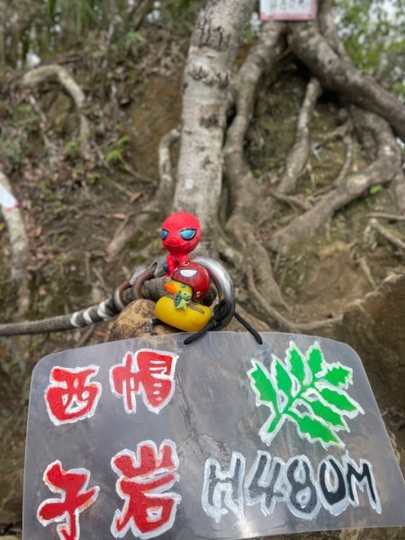 微笑山⛰️線-大棟-二格山-五分山-天上山-鳶山💎12條步道完成💙2834098