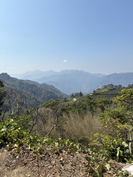 20260322[公車]石壁山&嘉南雲峰3019908