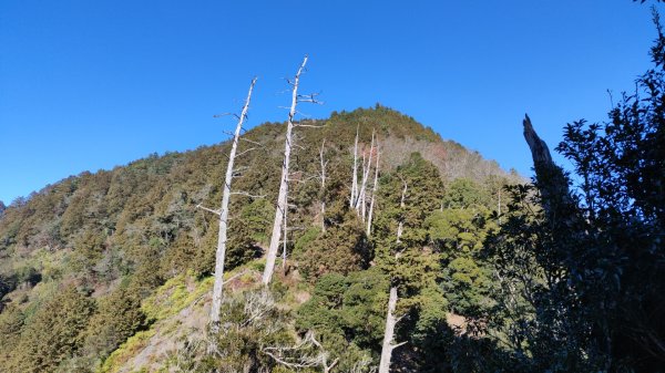 惠蓀大O聖逆走二部曲  2024年12月29日2679245