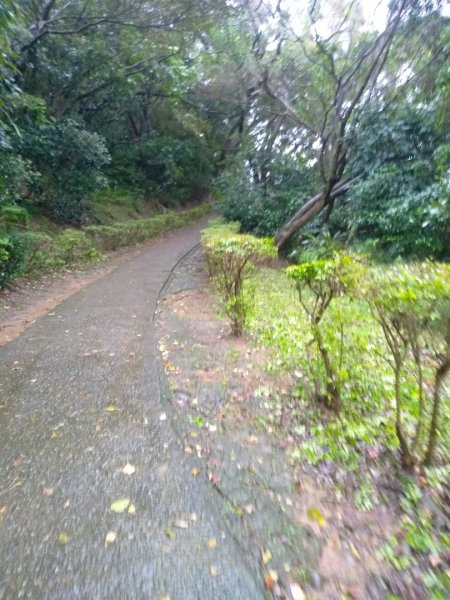 五酒桶山一雨中的浪漫1598132