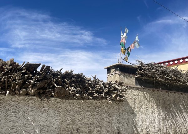 川藏318熱門的卡點-尼瑪-當惹擁措-大地之樹-雅丹地貌聖象天門2905853