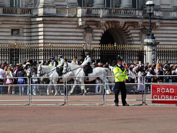 2025_0428 倫敦馬拉松順遊西歐 D10b(白金漢宮)2795189