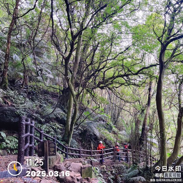 🌈3/16（日）內灣馬胎+南坪古道~內灣老街與合興愛情車站 FB：熊熊趴爬走🌈2737824