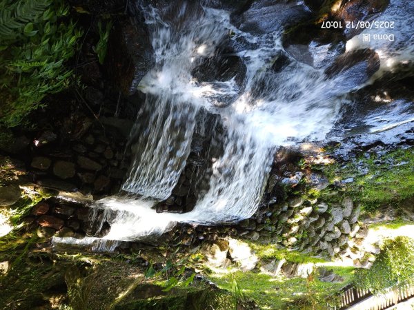 福山大羅蘭溪>古圳步道>黃金水岸2858977