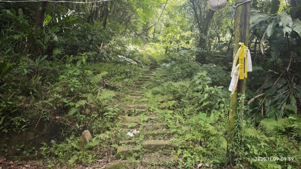 20251109 士林站到大湖站(福山宮_腰繞_燕溪古道_翠山步道_龍船岩_大溝溪)2932337