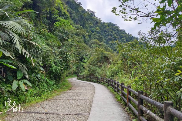 新北｜烏來信賢步道｜撰風旅食1663846