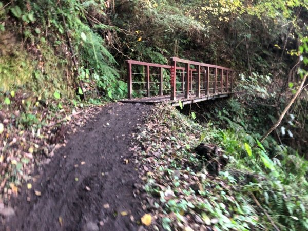 霞喀羅古道 布奴加里山 501918