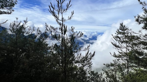 到排雲山莊睡一晚2277499