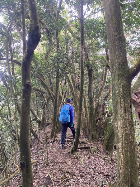 坐公車接駁的神仙縱走2707421