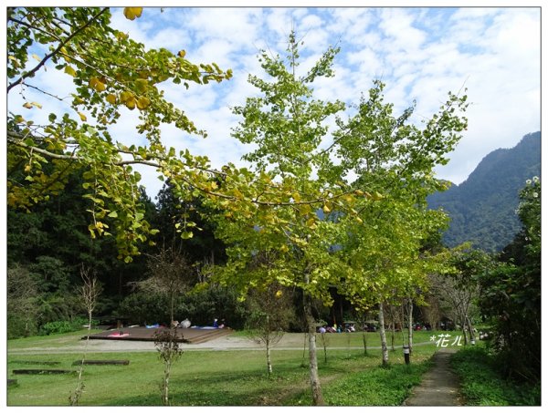 溪頭/山芙蓉之旅712613