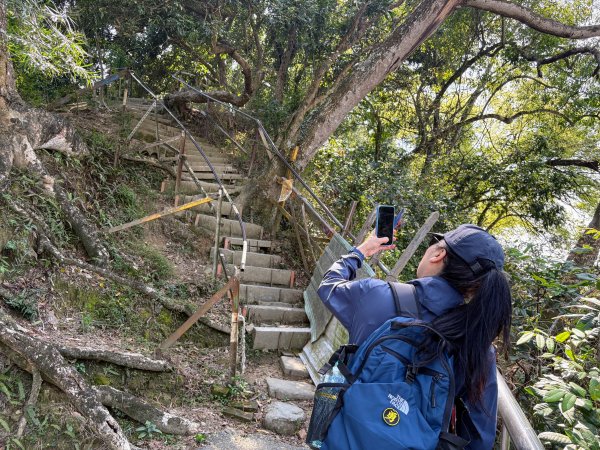 南觀音山步道2731293