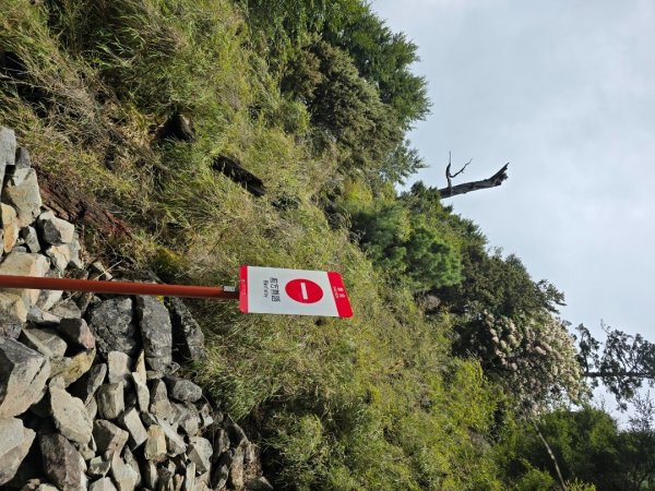 終於看到1000元背面的山景登頂玉山北峰／前峰2495872