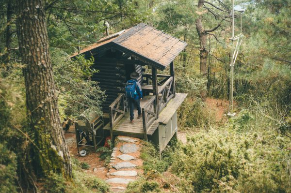 【百岳】2022.12秋色玉山前峰1974280