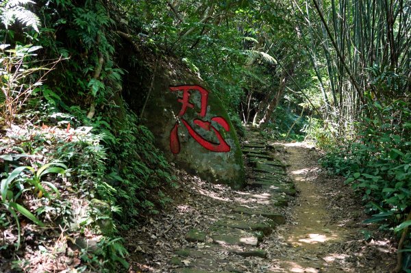 南港山｜小百岳3082106