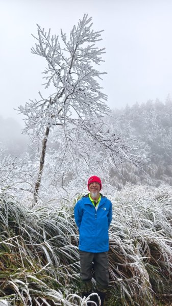 我的2025 第三場雪 #翠峰湖步道 #望洋山 #金翼白眉  2/92708847