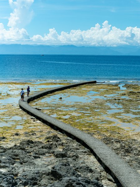 戀戀火燒島—牛頭山、過山古道、阿眉山、仙人疊石1749246